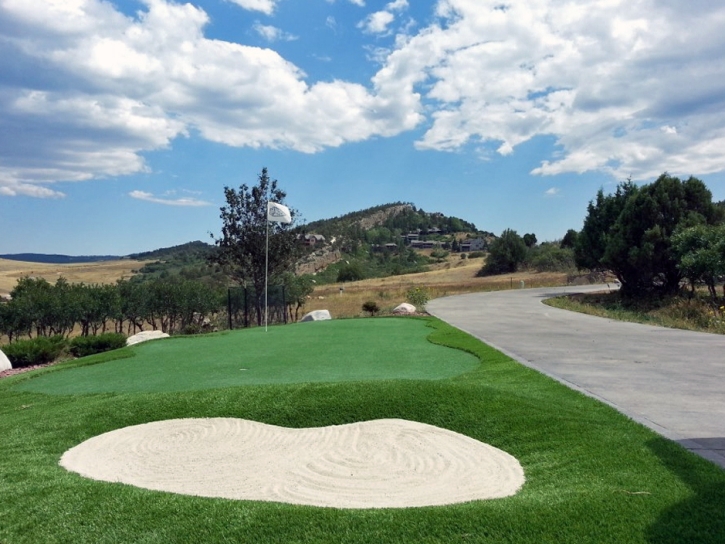 Artificial Grass Carpet Lake of the Woods, Arizona How To Build A Putting Green, Landscaping Ideas For Front Yard