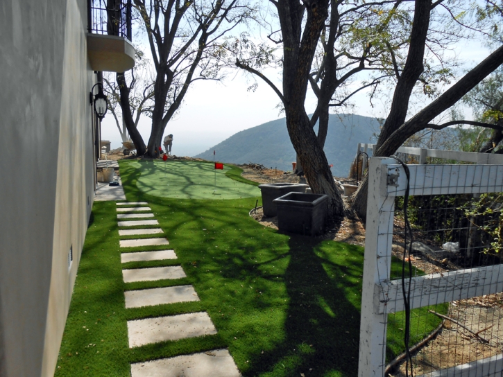 Artificial Grass Carpet Queen Valley, Arizona Outdoor Putting Green, Backyard Landscape Ideas