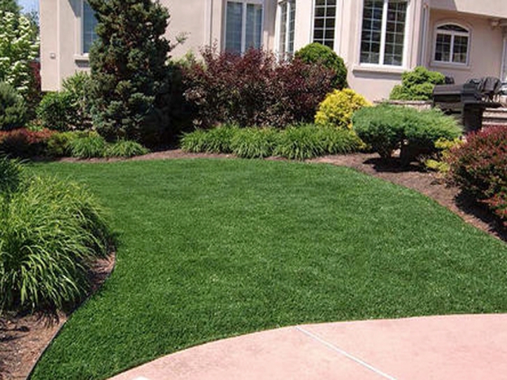 Artificial Grass Carpet Verde Village, Arizona Lawn And Landscape, Small Front Yard Landscaping