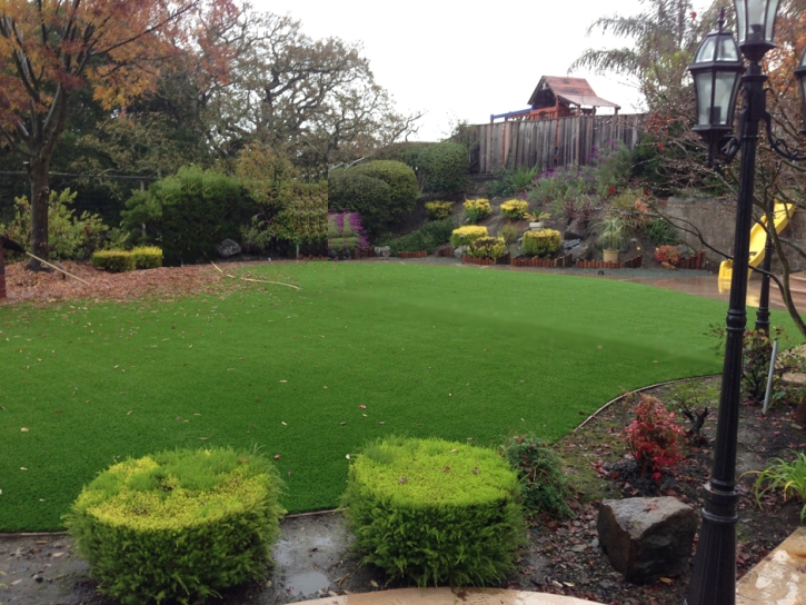 Artificial Grass Carpet Village of Oak Creek (Big Park), Arizona Roof Top, Backyard Ideas