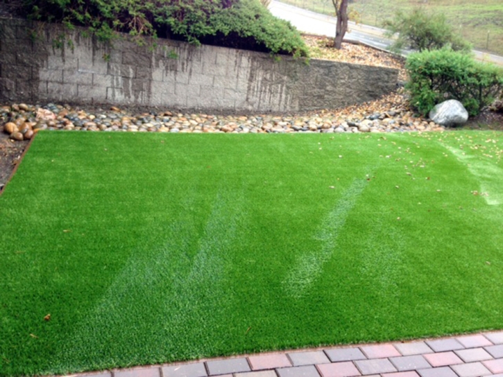 Artificial Grass Carpet Winslow West, Arizona Lawns, Front Yard Landscaping