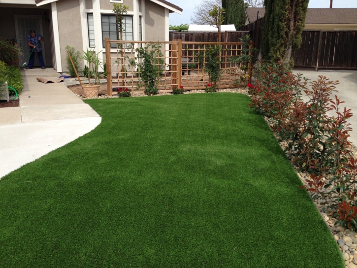 Artificial Grass Cave Creek, Arizona Landscape Ideas, Front Yard