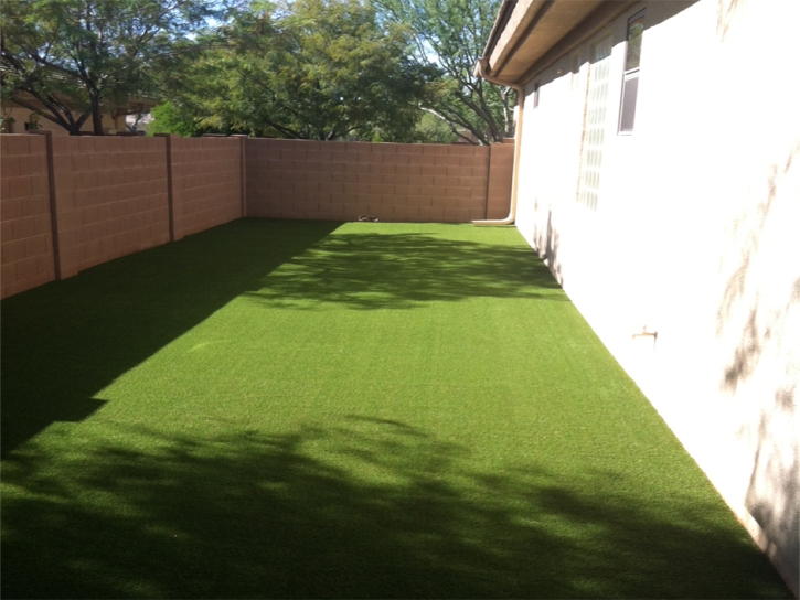 Artificial Grass Dudleyville, Arizona Landscaping, Small Front Yard Landscaping