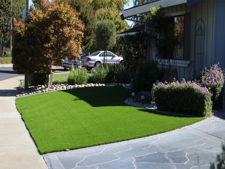 Artificial Grass Installation Gila Bend, Arizona Backyard Playground, Front Yard Landscape Ideas