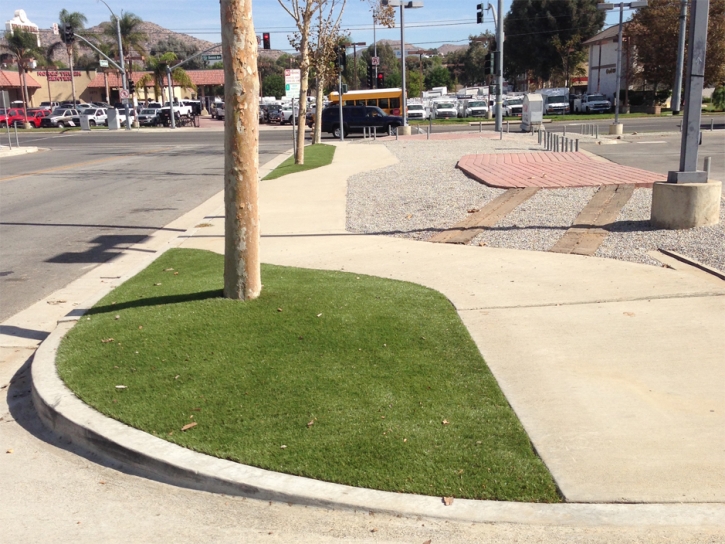 Artificial Grass Installation Nolic, Arizona Gardeners, Commercial Landscape