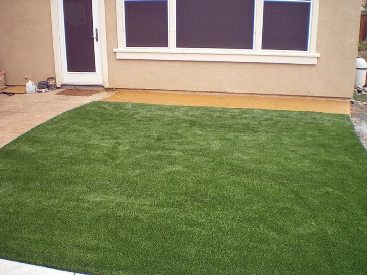 Artificial Grass Installation Peach Springs, Arizona Gardeners, Backyard Ideas