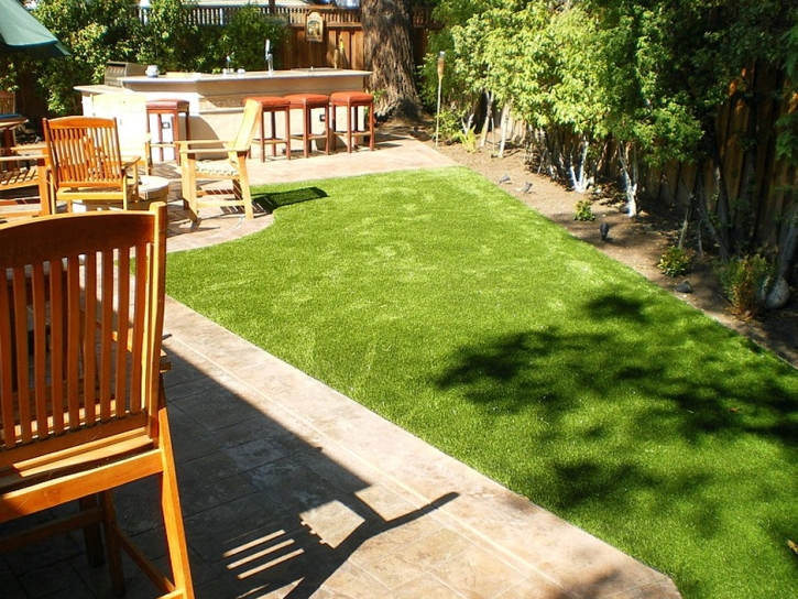 Artificial Grass Nelson, Arizona Dogs, Backyards