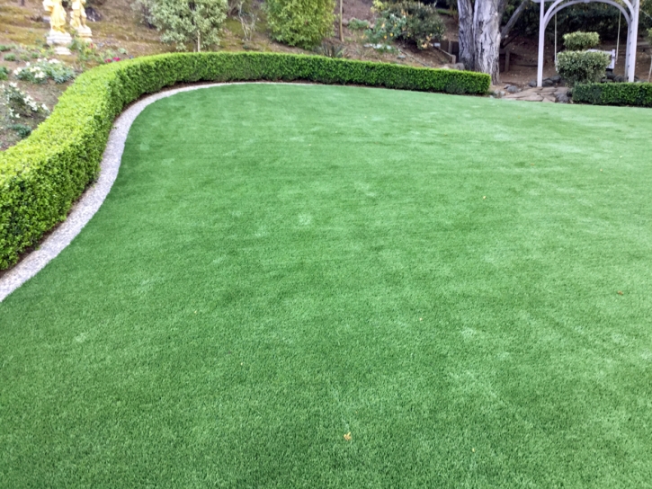 Artificial Grass Surprise, Arizona Landscape Design, Backyard Designs