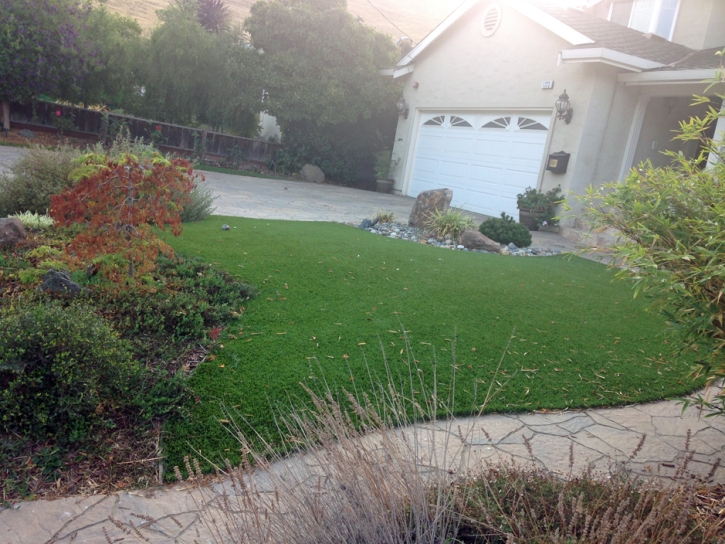 Artificial Grass Williams, Arizona Gardeners, Front Yard Design
