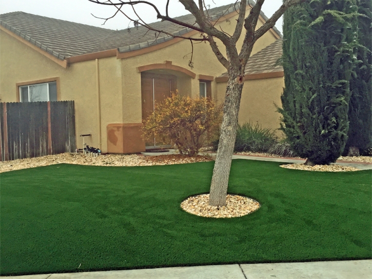 Artificial Lawn Gilbert, Arizona Backyard Playground, Landscaping Ideas For Front Yard
