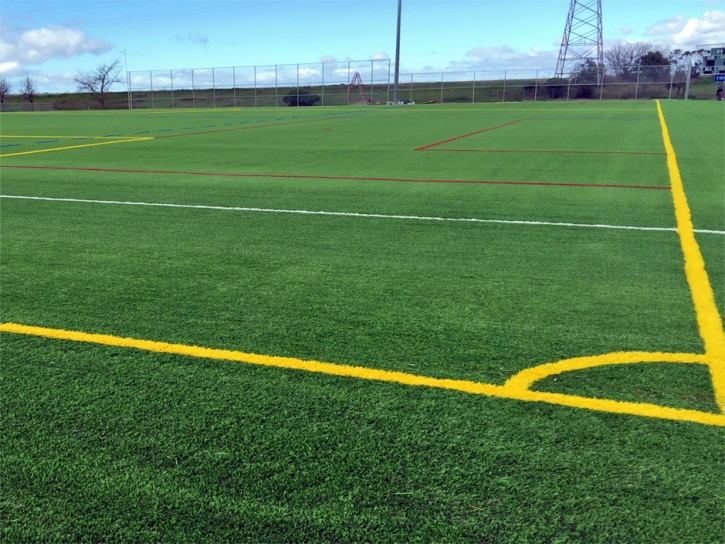 Artificial Lawn Kayenta, Arizona High School Sports