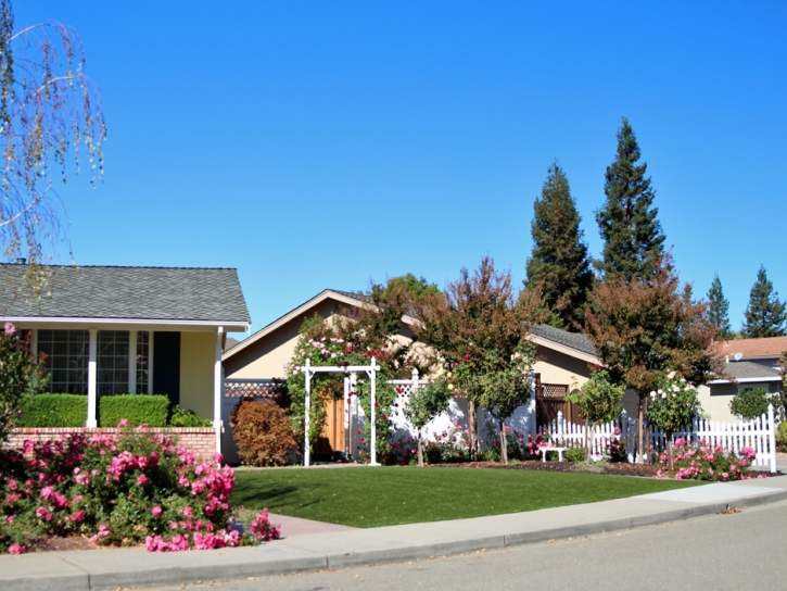 Artificial Lawn Kearny, Arizona Landscape Rock, Front Yard Landscape Ideas