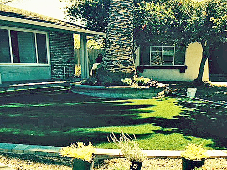 Artificial Lawn McNeal, Arizona Lawn And Landscape, Front Yard Landscaping