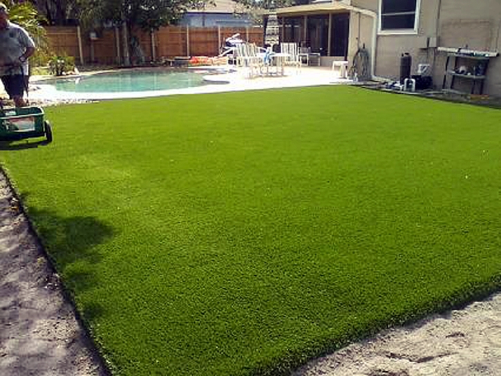 Artificial Lawn Phoenix, Arizona Landscape Design, Backyard Ideas