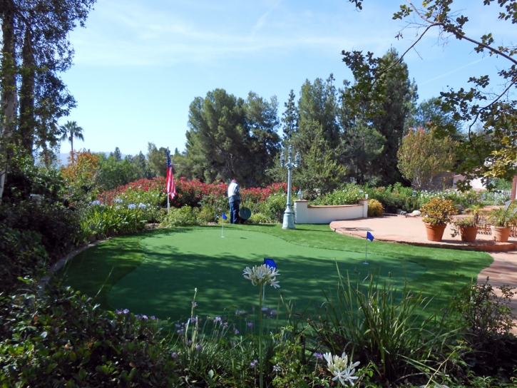 Artificial Lawn Supai, Arizona Paver Patio, Backyard Design