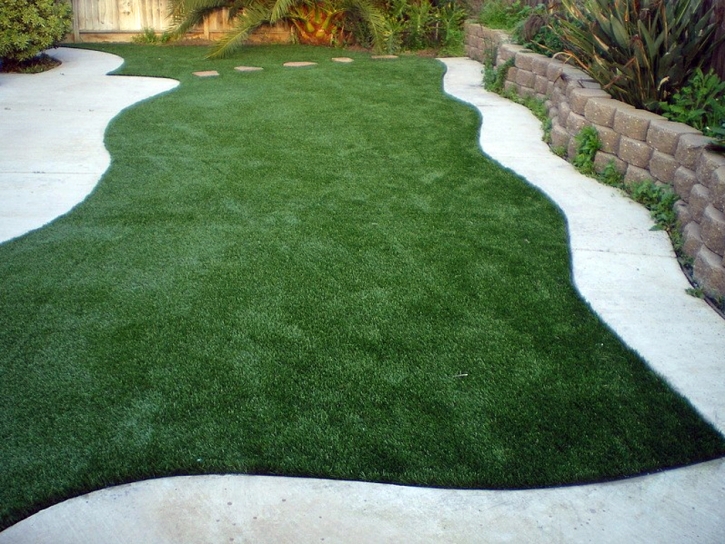 Artificial Lawn Tempe Junction, Arizona Lawn And Garden, Backyard Designs