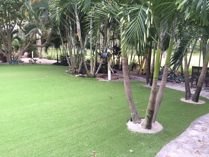 Artificial Lawn Vaiva Vo, Arizona Landscape Design, Commercial Landscape