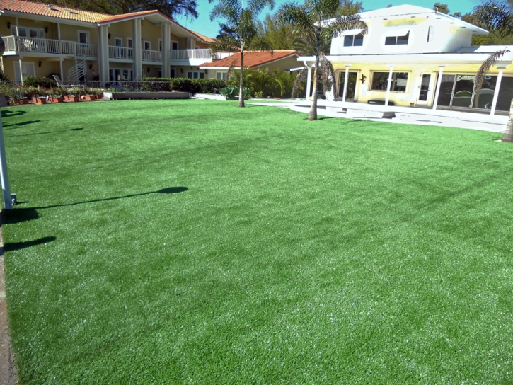 Artificial Lawn Woodruff, Arizona Rooftop, Above Ground Swimming Pool