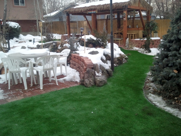 Artificial Turf Ak-Chin Village, Arizona Landscaping Business, Backyard Garden Ideas