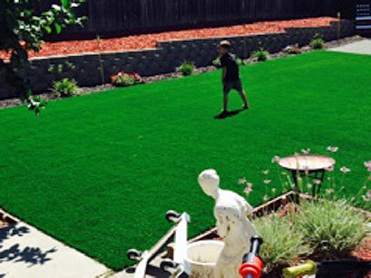 Artificial Turf Cornfields, Arizona Lawns, Backyard Landscape Ideas