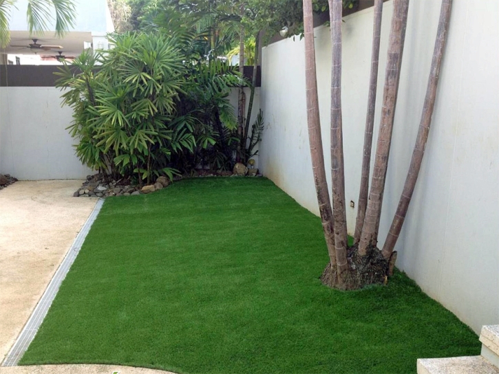 Artificial Turf Cost Arlington, Arizona Gardeners, Backyard Landscaping Ideas