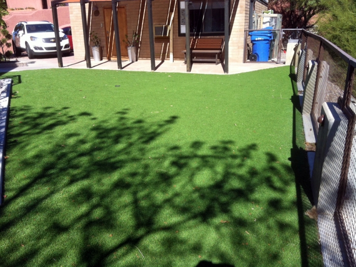 Artificial Turf Cost Beaver Dam, Arizona Gardeners, Backyard Landscaping Ideas