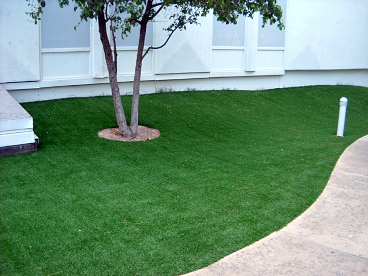Artificial Turf Cost Big Park, Arizona Backyard Playground, Commercial Landscape