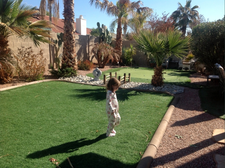 Artificial Turf Cost Douglas, Arizona Landscape Rock, Backyard