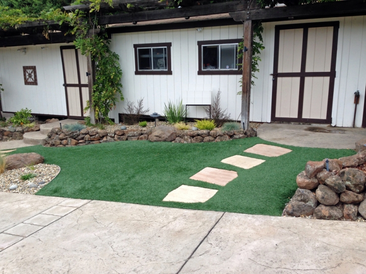 Artificial Turf Cost Flowing Springs, Arizona Home And Garden, Front Yard Ideas