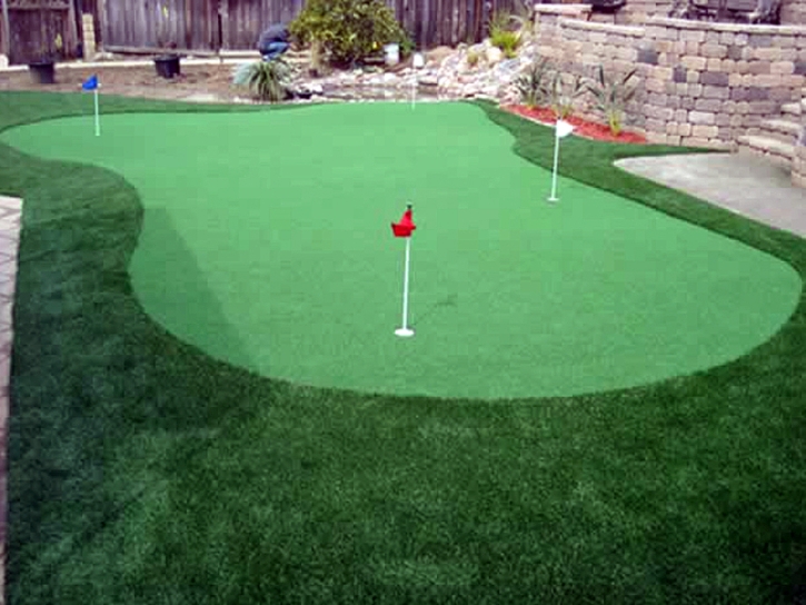 Artificial Turf Cost Grand Canyon Village, Arizona Putting Greens, Backyard Garden Ideas