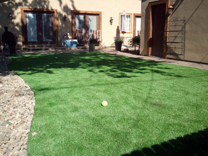 Artificial Turf Cost Peach Springs, Arizona Paver Patio, Backyard Design