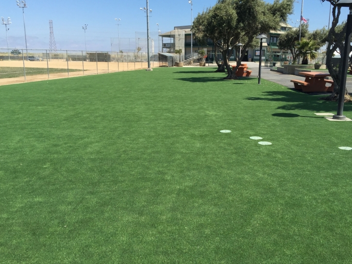 Artificial Turf Cost Peeples Valley, Arizona Garden Ideas, Recreational Areas