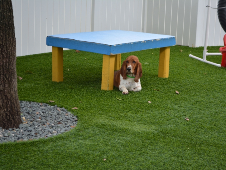 Artificial Turf Cost Roosevelt, Arizona Artificial Turf For Dogs, Dogs Park