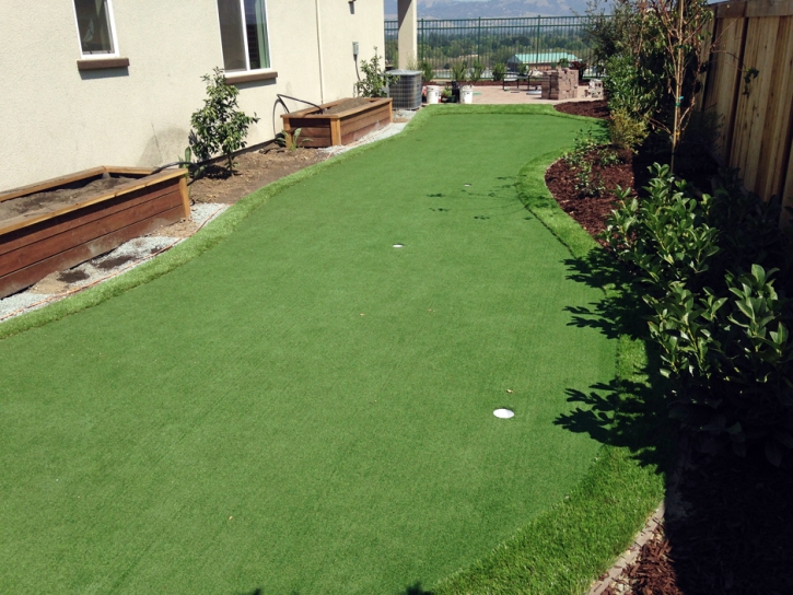 Artificial Turf Cost Tombstone, Arizona Best Indoor Putting Green, Backyards