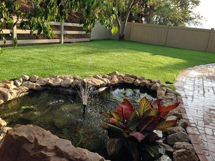Artificial Turf Cost Valentine, Arizona Gardeners, Natural Swimming Pools