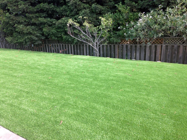 Artificial Turf Cost Wilhoit, Arizona Landscape Ideas, Backyard Landscaping Ideas