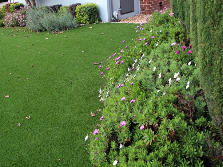 Artificial Turf Golden Valley, Arizona Rooftop, Front Yard Design