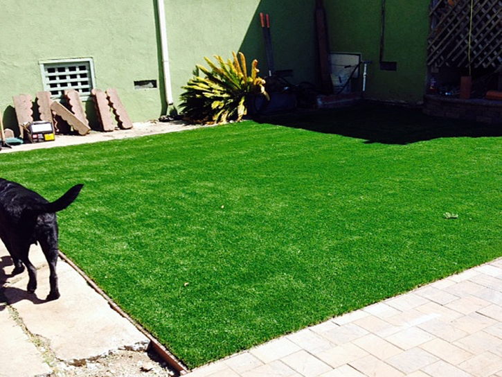 Artificial Turf Installation Lukachukai, Arizona Dog Running, Small Backyard Ideas