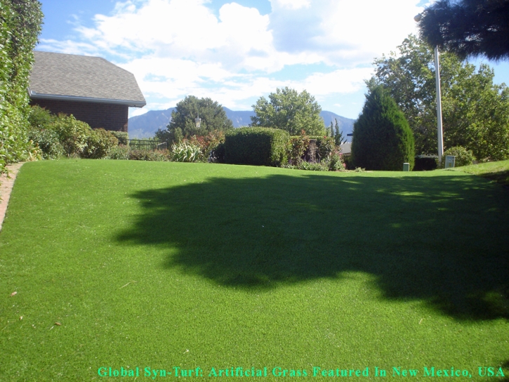 Artificial Turf Installation Tolleson, Arizona Backyard Deck Ideas, Backyard Landscaping