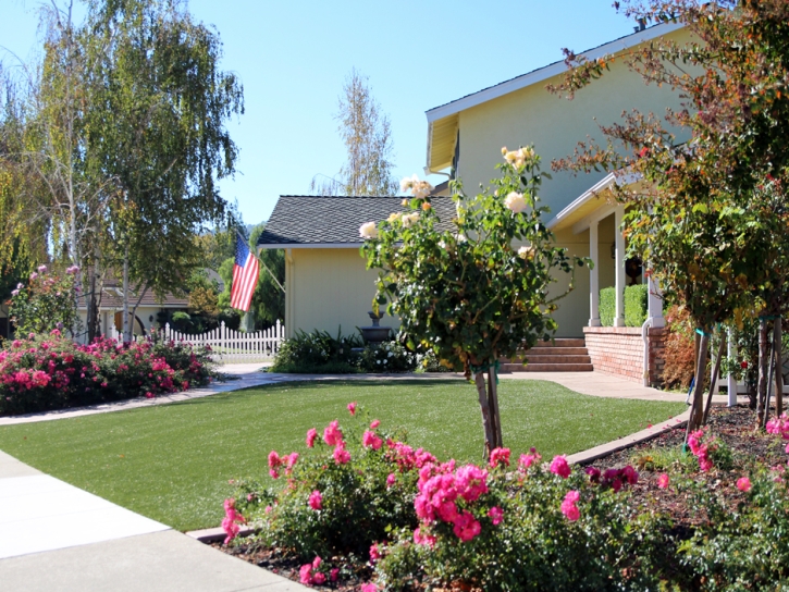 Artificial Turf Installation Wintersburg, Arizona Garden Ideas, Landscaping Ideas For Front Yard