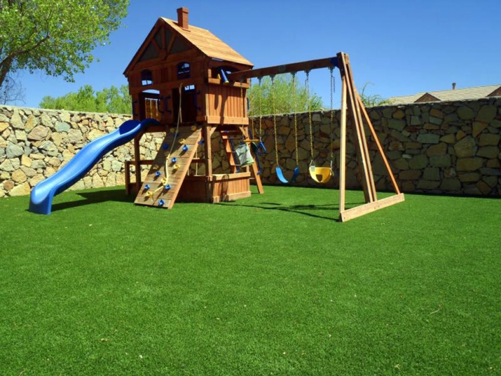 Artificial Turf Palominas, Arizona Home And Garden, Backyard Makeover