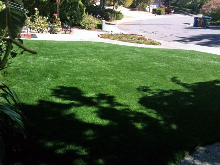 Artificial Turf Rillito, Arizona Garden Ideas, Small Front Yard Landscaping