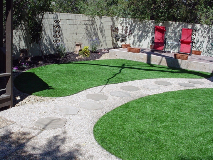 Artificial Turf San Miguel, Arizona Lawns, Backyards