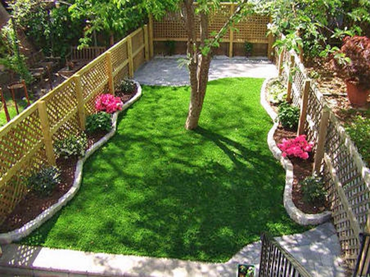 Artificial Turf Santa Cruz, Arizona Garden Ideas, Backyard Designs