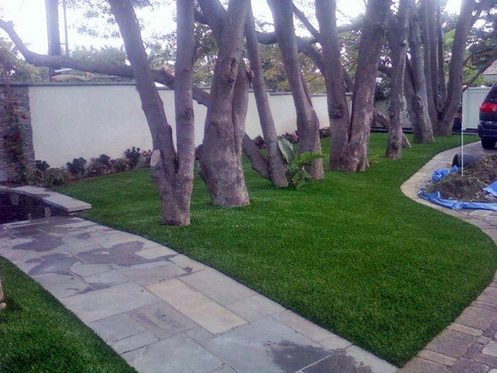 Artificial Turf Tolleson, Arizona Garden Ideas, Small Front Yard Landscaping