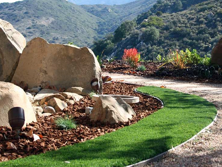 Artificial Turf Toyei, Arizona Lawns, Front Yard Landscaping Ideas