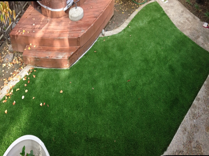 Artificial Turf Truxton, Arizona Gardeners, Backyards