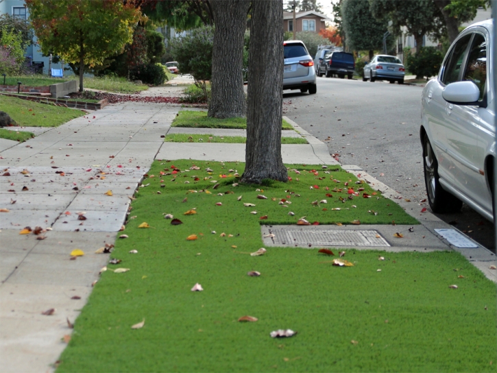 Artificial Turf Willcox, Arizona Landscape Design, Front Yard Ideas