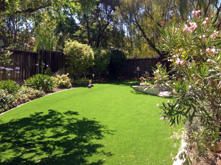 Artificial Turf Young, Arizona Backyard Deck Ideas, Beautiful Backyards