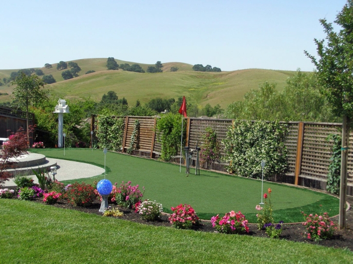 Artificial Turf Yucca, Arizona Lawn And Landscape, Backyard Garden Ideas